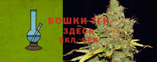 экстази Арсеньев