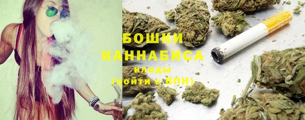 сатива Мегион