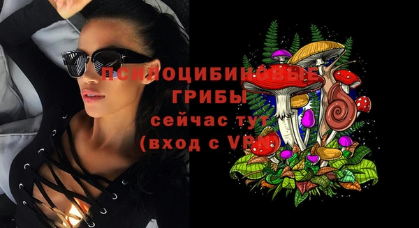 экстази Арсеньев