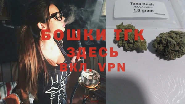 экстази Арсеньев