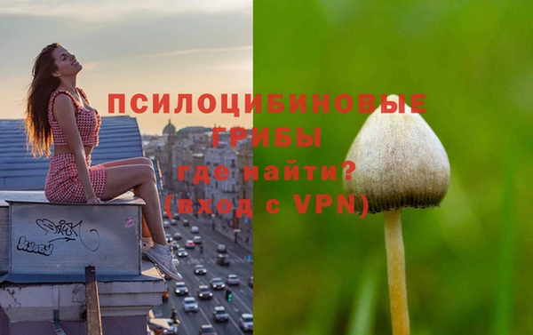 экстази Арсеньев